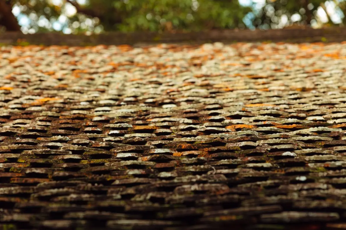 Aging shingle roof with moss growth and granule loss in Lacey, WA