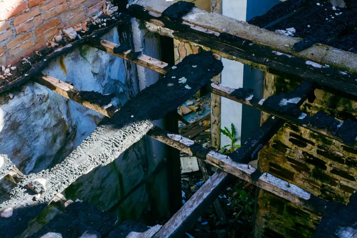 Roof Leak Repair in Lacey, WA